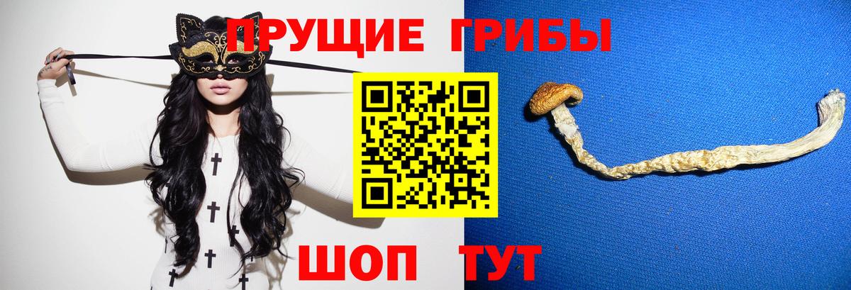 Псилоцибиновые грибы MAGIC MUSHROOMS Пермь